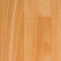331-008_medium_beech