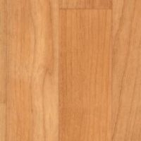 331-041_european_cherry