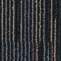 dash_9021-web