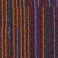 dash_9533-web