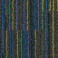dash_9975-web