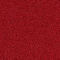 palatino_4218