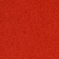 palatino_4411