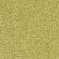 palatino_6431