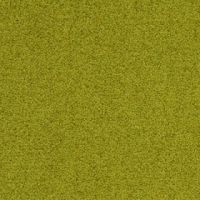 palatino_7062