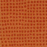 0050_mandarine