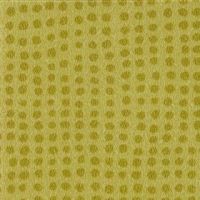 0054_cactus
