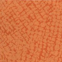 0075_corail