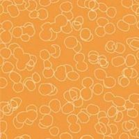0085_abricot