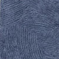 0031_bleu