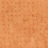 0450_abricot
