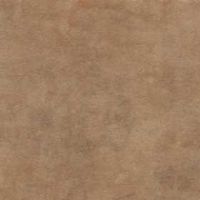 0469_camel