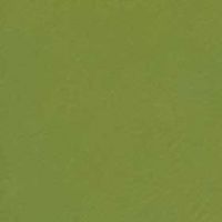 6549_kaki